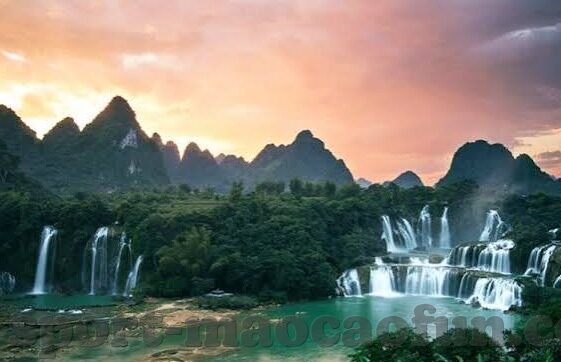 怎么进入动画的世界杯-如何进入动画的世界杯